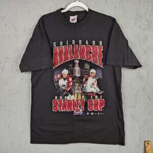 Vintage Colorado Avalanche Shirt Mens Large NHL Hockey Stanley Cup 1999 90s Logo